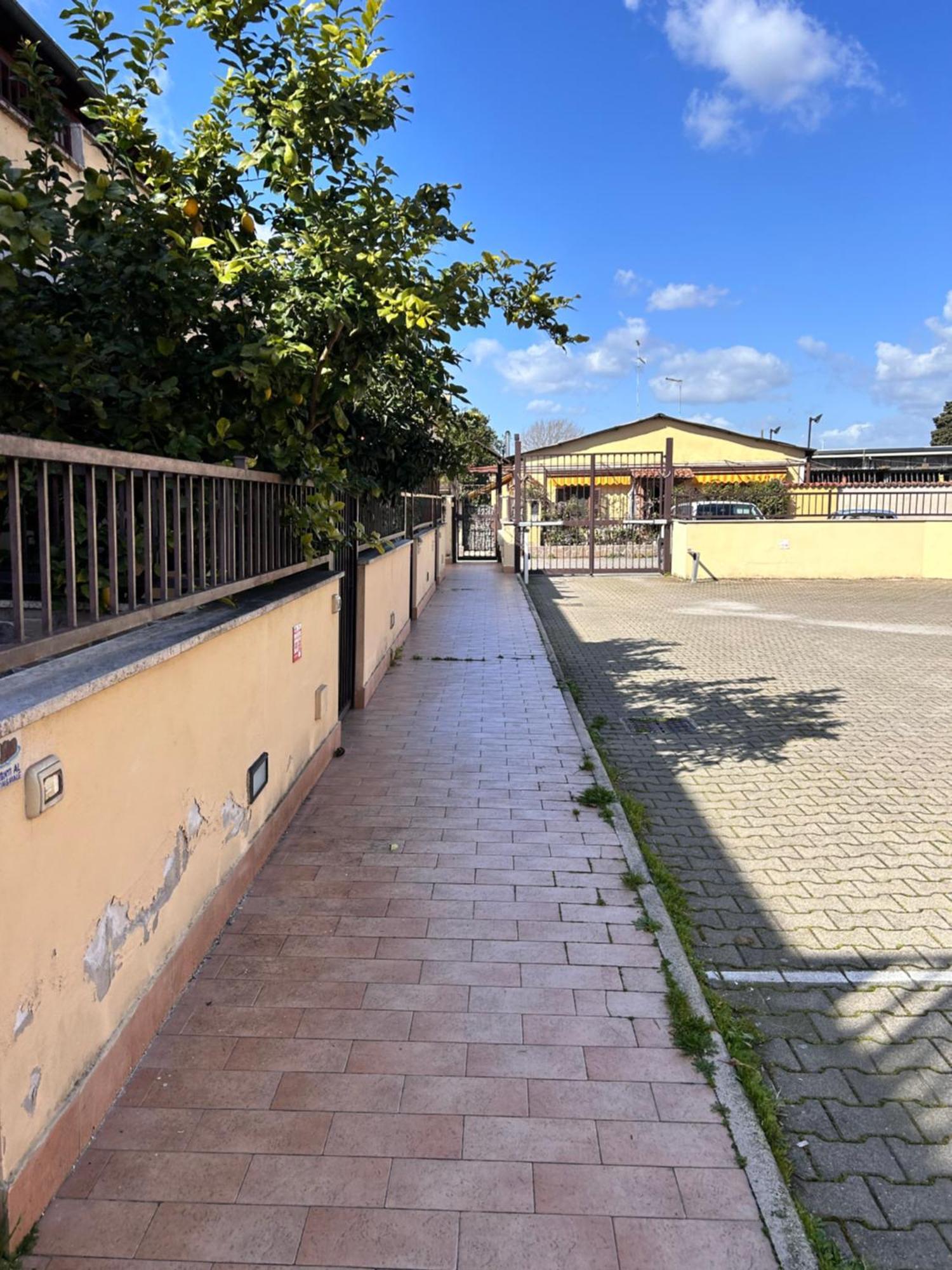 Domus Acquedotto Daire Roma Dış mekan fotoğraf